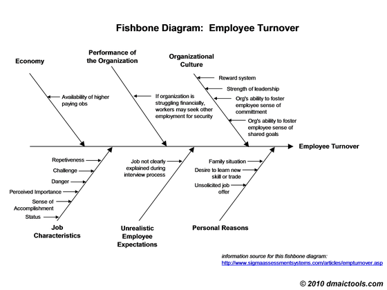Fishbone Diagram